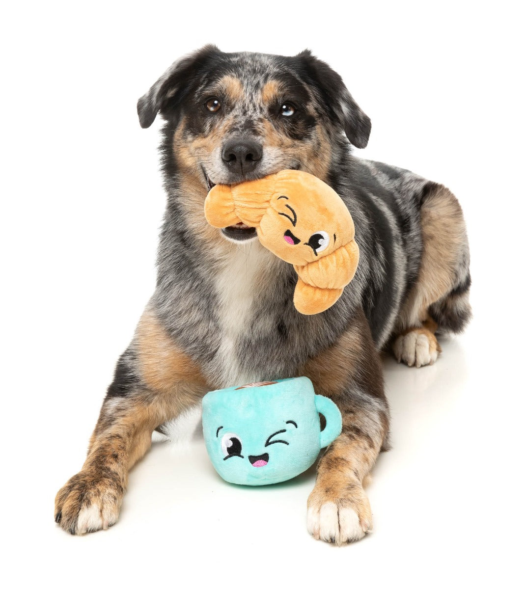 Croissant & Cappuccino 2PK - Dog Toy by FuzzYard