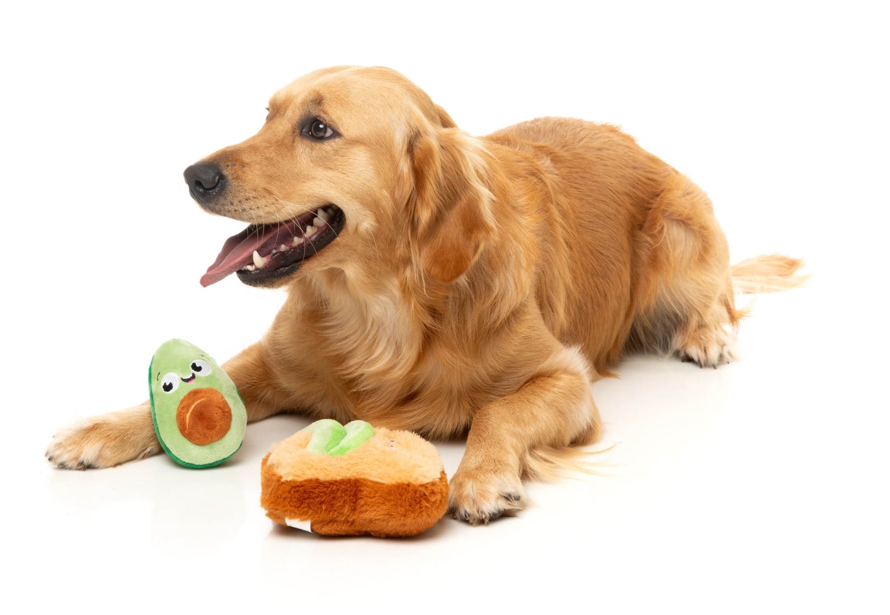Avocado & Toast 2PK - Dog Toy by FuzzYard
