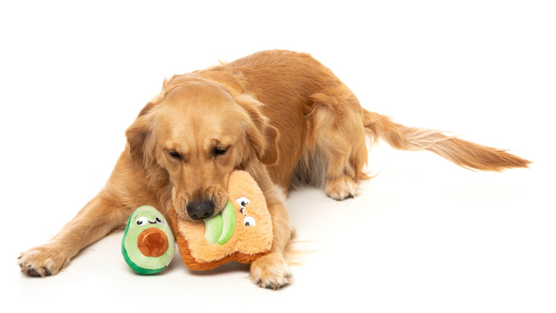 Avocado & Toast 2PK - Dog Toy by FuzzYard