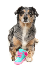 Fresh Kicks N' Licks - Interactive Chew Toy by FuzzYard