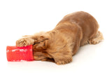Pina Coolada Freeze - Interactive Chew Toy by FuzzYard