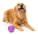 Truth Tellin' Treat Ball - Interactive Chew Toy by FuzzYard
