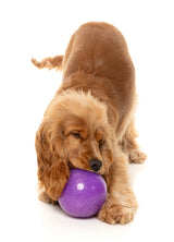 Truth Tellin' Treat Ball - Interactive Chew Toy by FuzzYard