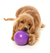 Truth Tellin' Treat Ball - Interactive Chew Toy by FuzzYard