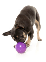 Truth Tellin' Treat Ball - Interactive Chew Toy by FuzzYard