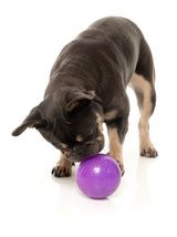 Truth Tellin' Treat Ball - Interactive Chew Toy by FuzzYard