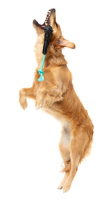 Mic Drop - Interactive Chew Toy by FuzzYard