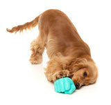 Knuckle Sandwich - Interactive Chew Toy by FuzzYard