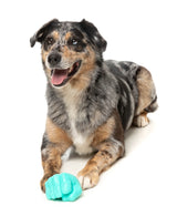 Knuckle Sandwich - Interactive Chew Toy by FuzzYard