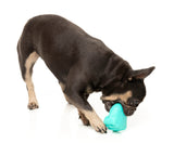 Knuckle Sandwich - Interactive Chew Toy by FuzzYard