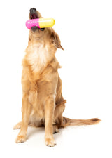 Chill Pill - Interactive Chew Toy by FuzzYard