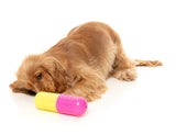 Chill Pill - Interactive Chew Toy by FuzzYard