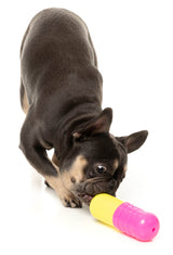 Chill Pill - Interactive Chew Toy by FuzzYard