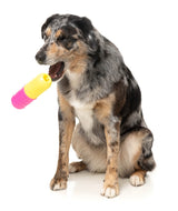 Chill Pill - Interactive Chew Toy by FuzzYard