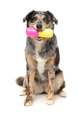 Chill Pill - Interactive Chew Toy by FuzzYard