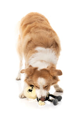 Arthur-itis - Dog Toy by FuzzYard