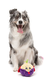 Count Bulbula - Dog Toy by FuzzYard