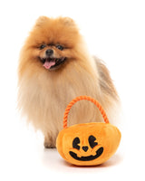 Trick or Treats Basket - Dog Toy by FuzzYard
