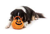 Trick or Treats Basket - Dog Toy by FuzzYard