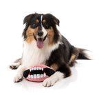 Drac’s Dentures - Dog Toy by FuzzYard