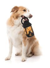 Eerie Light-Up Lantern - Dog Toy by FuzzYard