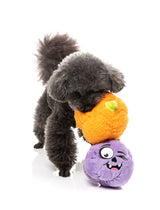 Trick or Treat Duo 2PK - Dog Toy by FuzzYard