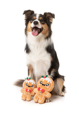 Mistle-Dough - Dog Toy by FuzzYard