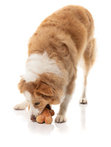 Mistle-Dough - Dog Toy by FuzzYard
