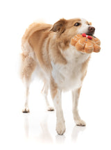 Mistle-Dough - Dog Toy by FuzzYard