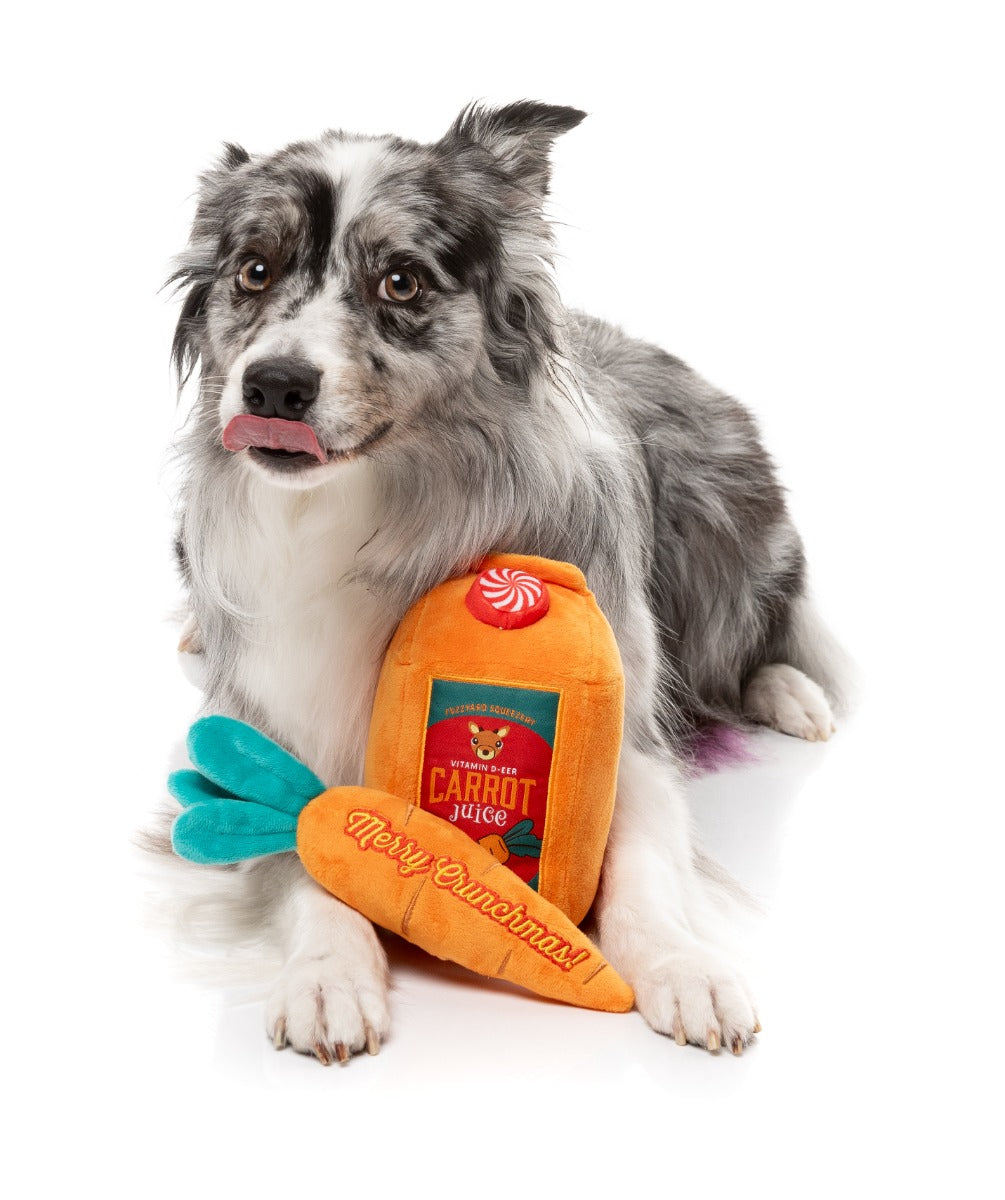 Reindeer Carrot Juice & Carrot 2PK - Dog Toy by FuzzYard