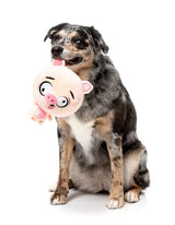 Dog Toy - Snoop Hogg