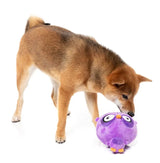 Dog Toy - Hoo-dini