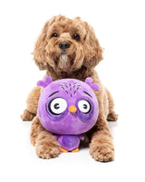 Dog Toy - Hoo-dini