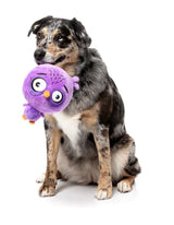 Dog Toy - Hoo-dini