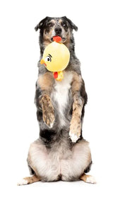 Dog Toy - Hen Diesel