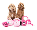 Dog Toy - Portable CD Player