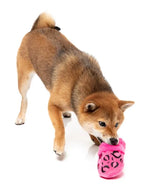 Dog Toy - Angel Slipper