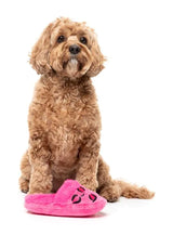 Dog Toy - Angel Slipper