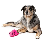 Dog Toy - Angel Slipper