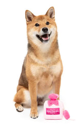 Dog Toy - Better Than You Parfum