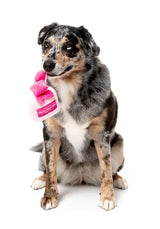 Dog Toy - Better Than You Parfum