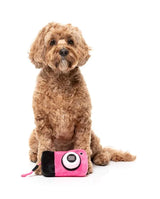 Dog Toy - Digicam