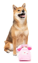Dog Toy - You Hang Up Landline