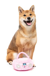 Dog Toy - Portable CD Player