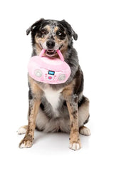 Dog Toy - Portable CD Player