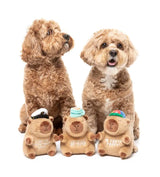 Dog Toy - Capy-ccino