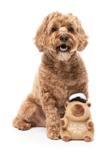 Dog Toy - Capy-tain