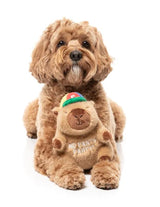 Dog Toy - Capy-bara