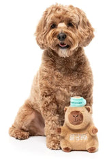 Dog Toy - Capy-ccino