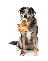 Dog Toy - Capy-ccino